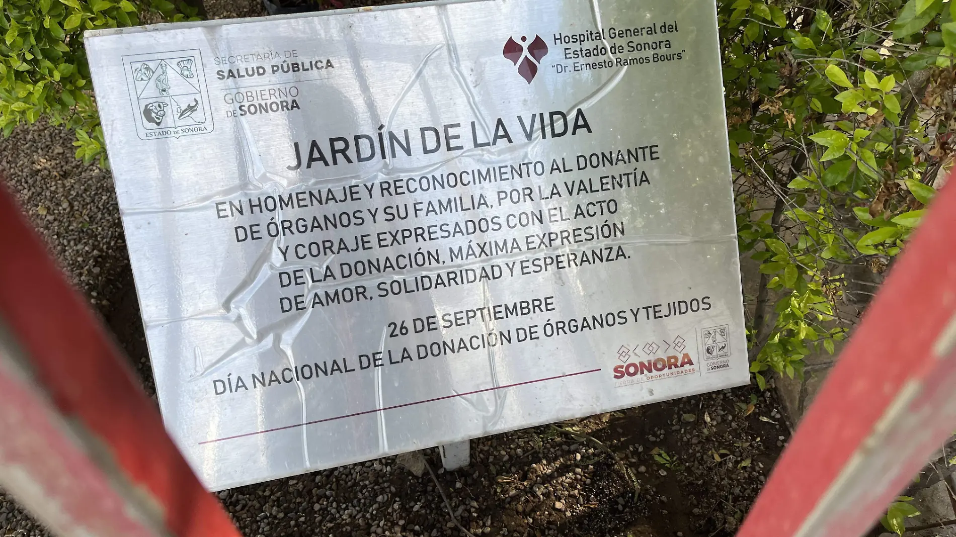 Jardin de la Vida, donación de órganos 3